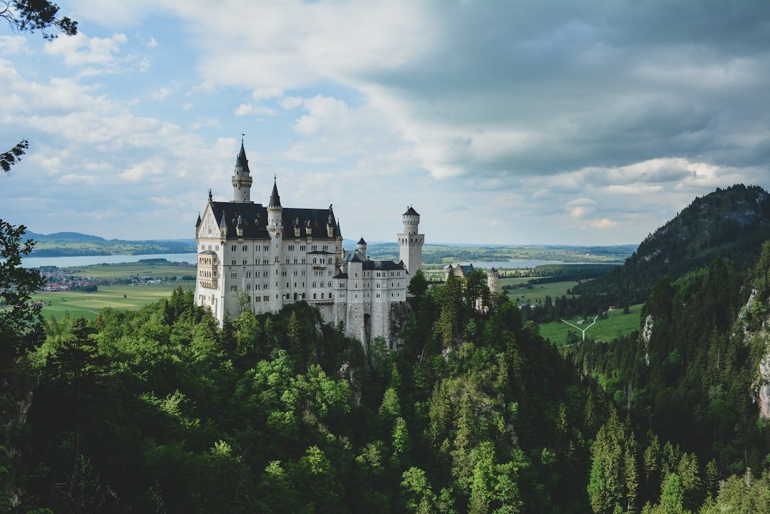 Neuschwanstein castle perched on hill