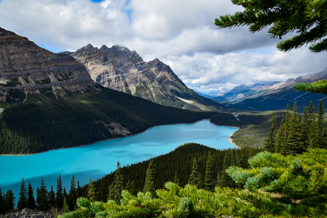 Peyto Lake bright turquoise viewpoint