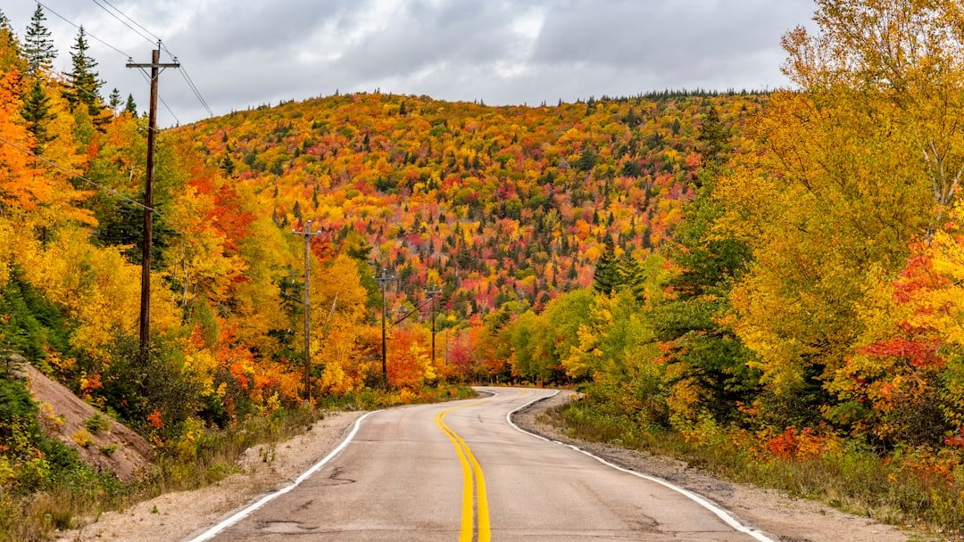 Cabot Trail coastal cliffs and winding road