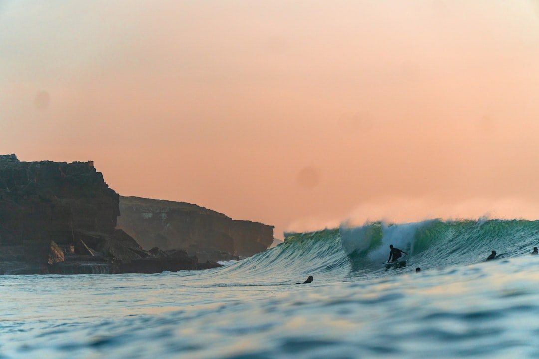 Surfers near rocky beach
