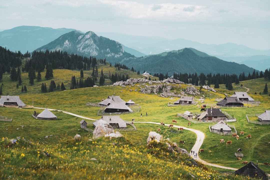 Velika Planina alpine plateau huts
