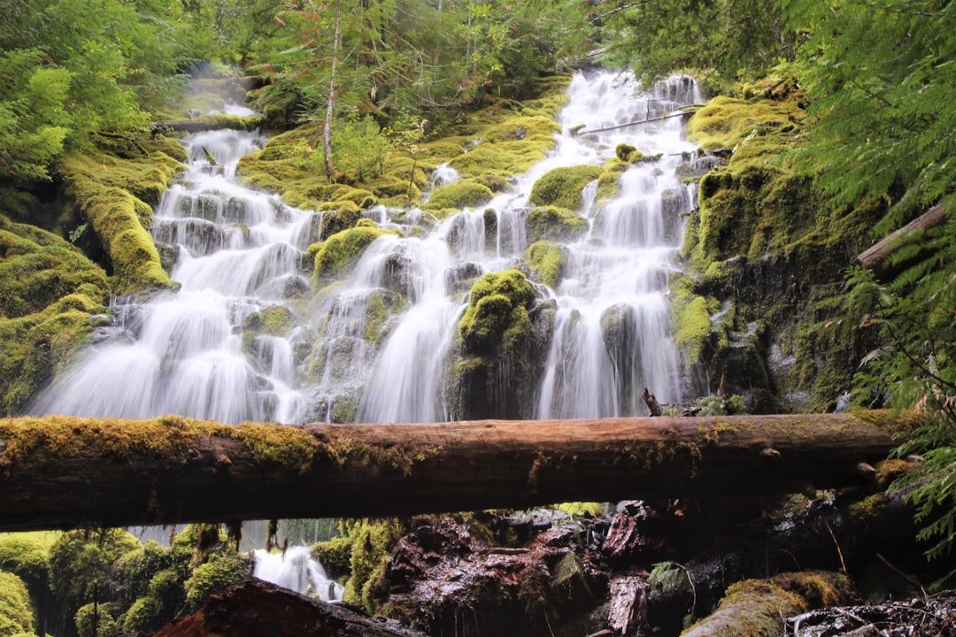 Proxy Falls twin plunges volcanic amphitheater
