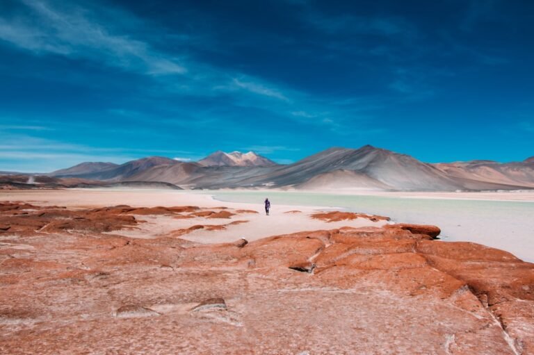 Chile from Atacama to Patagonia: The Definitive Travel Handbook
