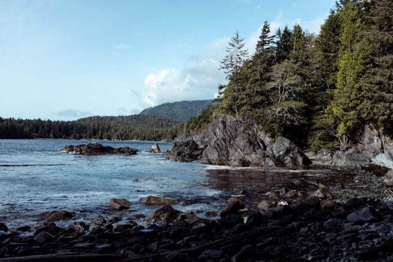 Vancouver Island Guide: Coastal Towns, Wildlife & Wild Places